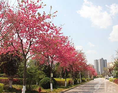 湘南船山技工學(xué)校